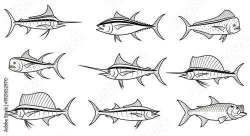 Collection of nine different types of game fish illustrations.
