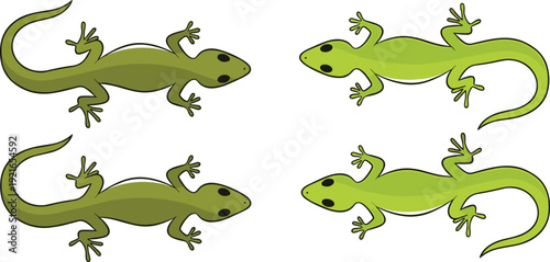 Cartoon Lizard Top View Icon Set Showing Green Reptiles for Wildlife Education, Nature Infographics, Kids Illustrations, Games, and Vector Design Projects