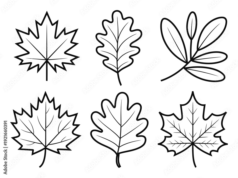 Obraz premium Collection of Six Stylized Autumn Leaf in Black and White