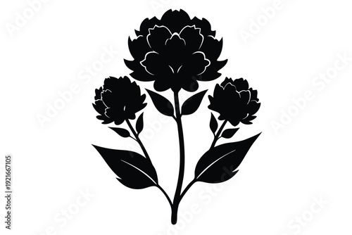 statice silhouette line art vector illustration