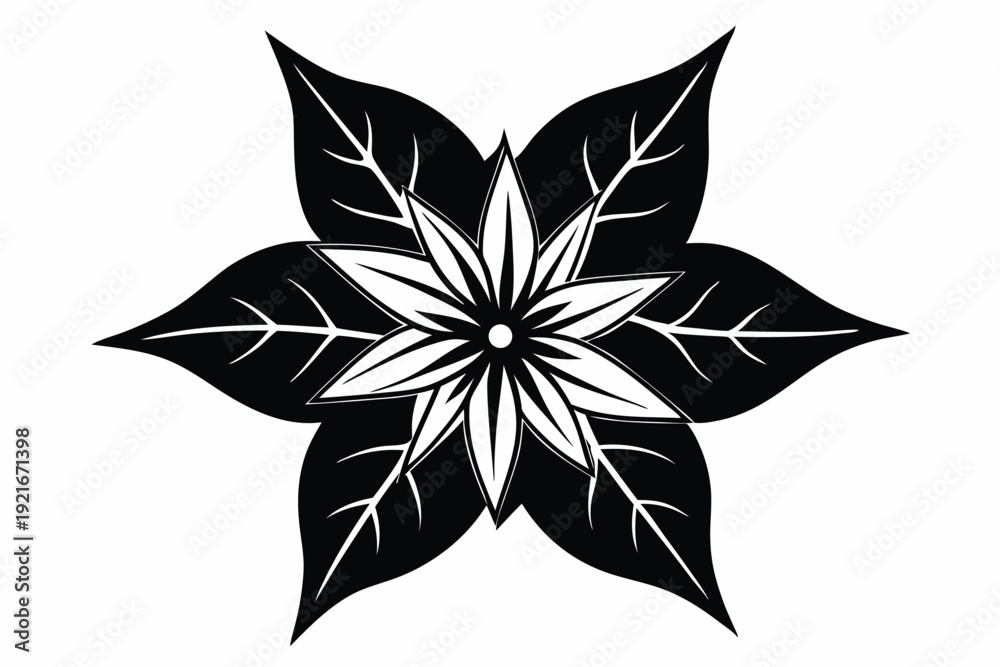 Obraz premium starflower silhouette line art vector illustration