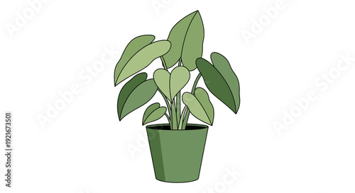A green indoor plant in a green pot sits on a white background.