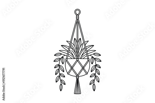 Boho macrame plant hanger with tassel detail