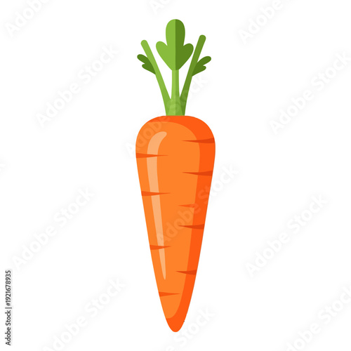 Bright fresh orange carrot with green leafy top illustration.