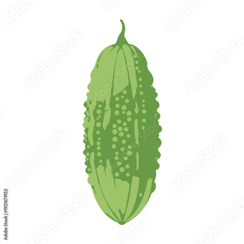 Whole green bitter melon with bumpy textured skin.