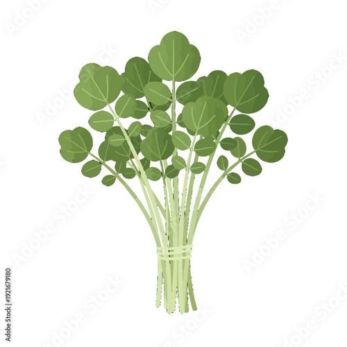 Fresh bunch of green watercress leaves and stems.