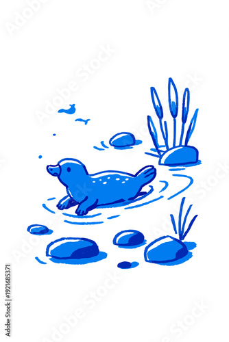 Minimalist Platypus Swimming in Calm Creek