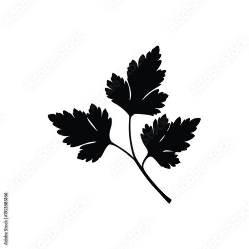 Fresh Flat Leaf Parsley Sprig Silhouette Vector Art Illustration