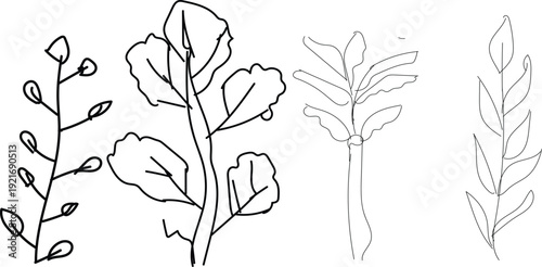 Botanical illustration of various plant species with leaves and stems