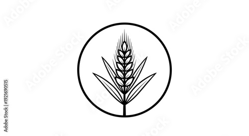 Simple Wheat Stalk in Circle Icon Design on Isolated White Background