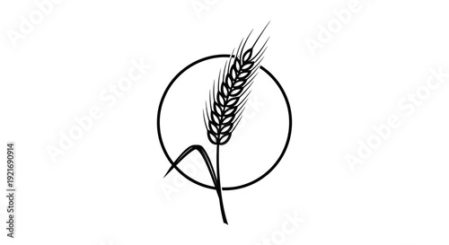 Wheat Ear Icon in Circle on Isolated White Background