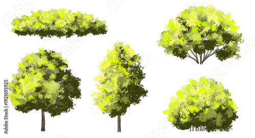 Vertor set of green tree,plants side view for landscape elevations,element for backdrop,eco environment concept design,watercolor greenery scene