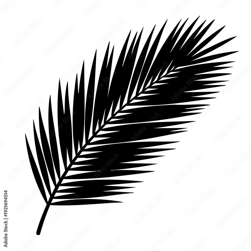 Fototapeta premium A monochrome palm leaf isolated on white, with strong visual contrast and texture. This artistic image would be a striking addition to any project