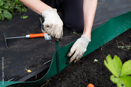 gardener install plastic grass edge around the tree in the garden