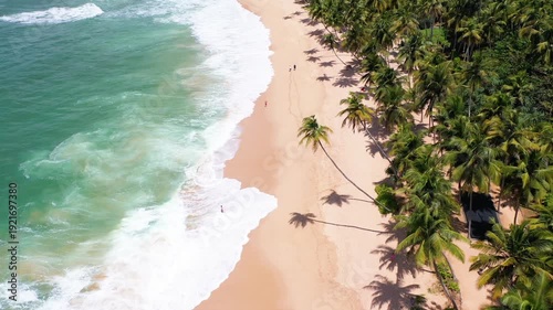 Aerial view of a sandy beach lined with palm trees and turquoise Indian Ocean waves, Sri Lanka. 