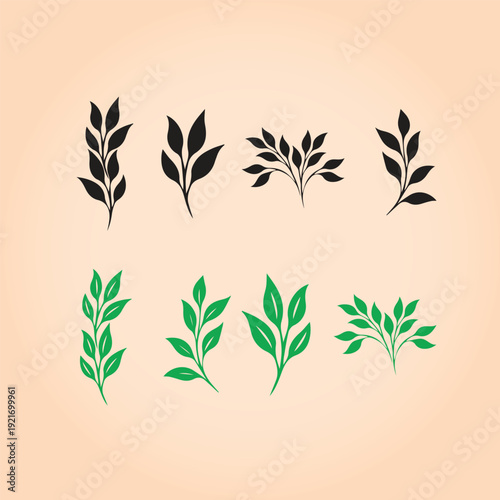 Set of fresh green variegated and solid leafy plant branches with pointed foliage for botanical design elements
