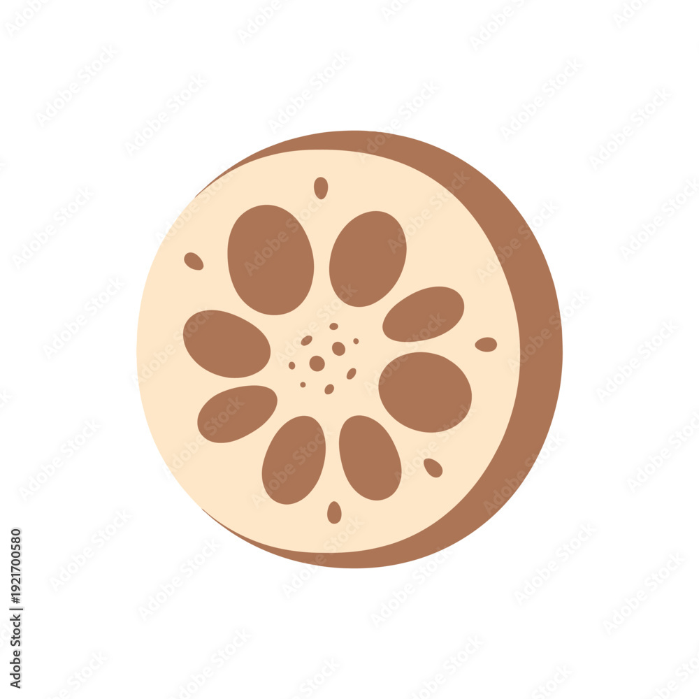 Fototapeta premium Illustrated lotus root cross section slice with seeds.