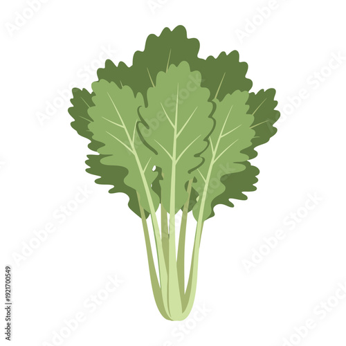 Fresh bunch of leafy green kale with stems for healthy cooking.