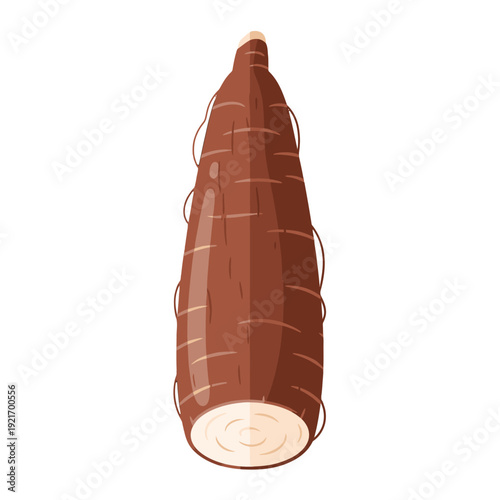 Single taro root tuber with cut cross section and brown skin.