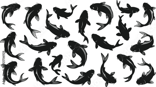 Collection of black koi fish silhouettes and carp swimming in different positions isolated on white background for Japanese pond design or oriental vector art