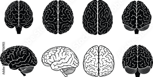 Collection of human brain anatomical silhouettes in top and side views isolated on white background for medical education psychology and neurology vector design projects