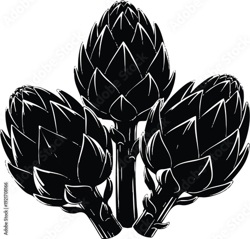 Vintage Woodcut Cucumber Trio - Black and White Vegetable Vector