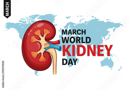 World kidney day illustration with anatomical kidney model