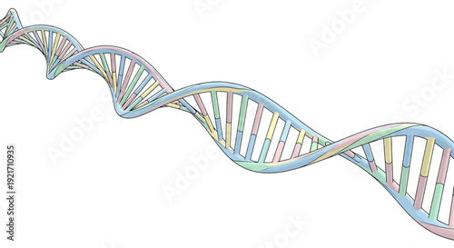 Colorful DNA Double Helix Structure.