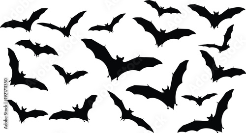 Modern architectural interior design of luxury living room with minimalist furniture, large windows and natural sunlight, bright spacious home decor for real estate