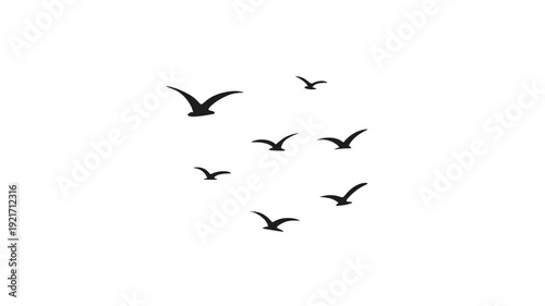 2D Animated Birds Silhouette for Sunset Sky Theme