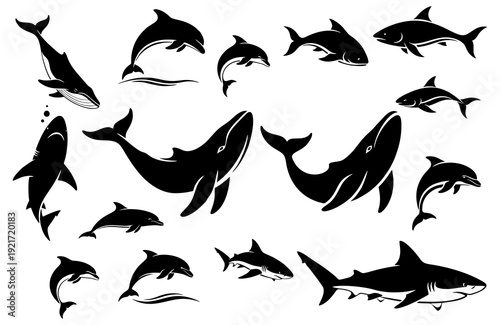 Collection of Silhouettes of Marine Animals: Whales, Dolphins, Sharks