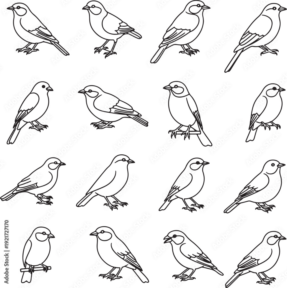 Fototapeta premium Black and white of multiple small birds in various poses also transparent background line simple