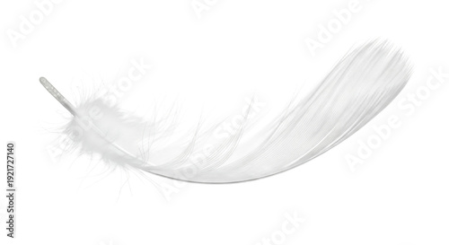 A delicate white feather floating gently against a dark background PNG