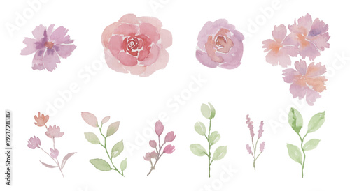 Assortment of watercolor flowers, leaves illustration set - green leaf branches collection for wedding, greetings, stationary, wallpapers, fashion, background. olive, green leaves, Eucalyptus etc.