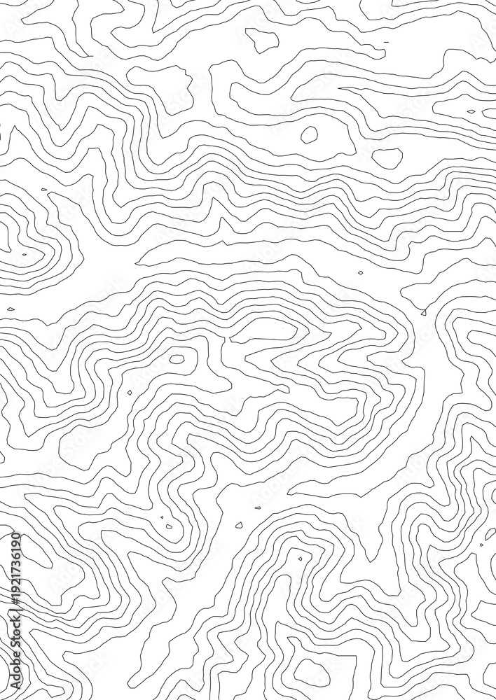 Fototapeta premium Curvas de nivel sobre fondo blanco. Mapa Topográfico 