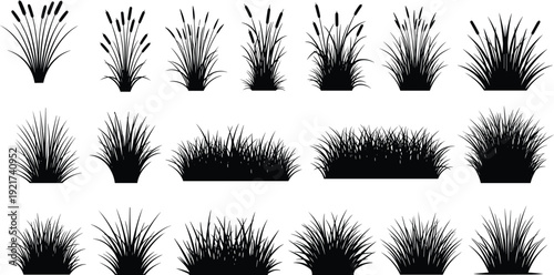 Vector set of eighteen grass and reed silhouettes featuring cattails, blades, and clumps, perfect for landscaping, botanical, and decorative design.