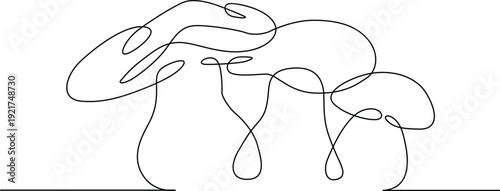 Abstract black and white line drawing with intricate shapes and curves Vector