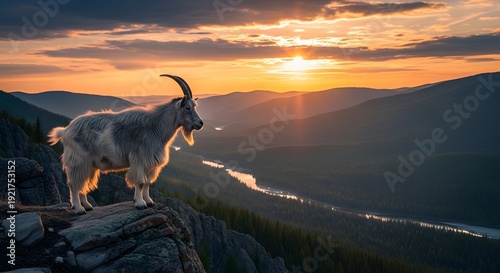 Majestic mountain goat standing on rocky cliff edge at sunset