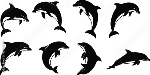 Dolphin Silhouette Collection Jumping and Swimming Marine Mammal Black Vector Illustration Isolated on White Background for Ocean Wildlife Design