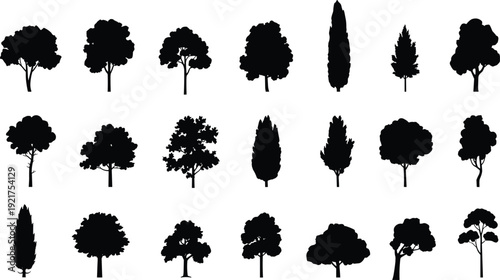 Silhouettes of various trees with different shapes and sizes on a white background black