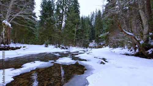 Pristine Winter Mountain River in the Carpathian Forest