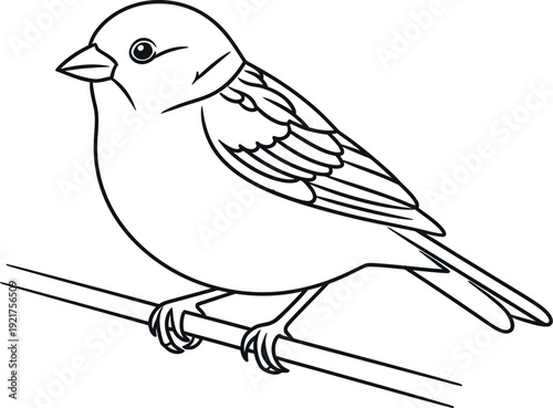Simple black and white outline drawing of a small songbird perched calmly upon a thin horizontal branch ready for coloring activities.