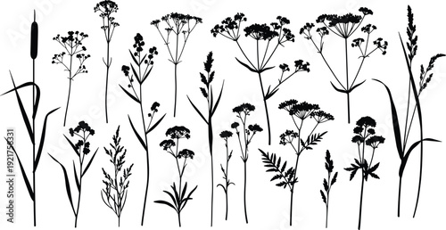 Comprehensive collection of various wildflower silhouettes including delicate meadow blossoms herbal stems and grassy field plants for natural botanical wall art
