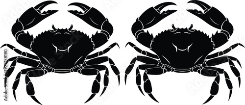 Pair of realistic crab silhouettes with detailed claws and shells for seafood restaurant branding marine biology education and coastal decor