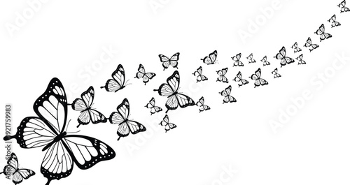 Black butterfly silhouette set, flying insect swarm, nature wings vector, isolated lepidoptera graphics, flavector, garden decoration, spring butterfly collection, artistic.