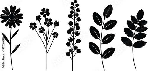 Comprehensive collection of various black flower silhouettes including daisy stems wildflowers and decorative leafy branches for botanical nature wall art design