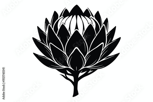 protea silhouette line art vector illustration