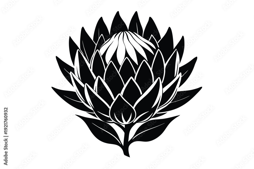 Fototapeta premium protea silhouette line art vector illustration