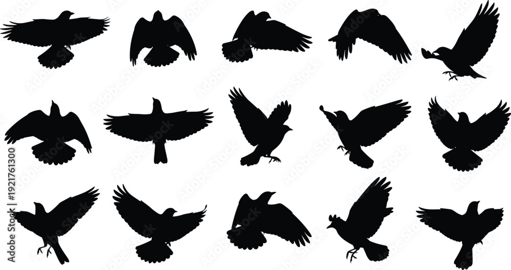 Fototapeta premium Raven and crow bird silhouettes set flying in sky vector illustration for graphic design projects isolated on white background flavector