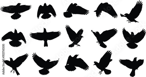 Raven and crow bird silhouettes set flying in sky vector illustration for graphic design projects isolated on white background flavector